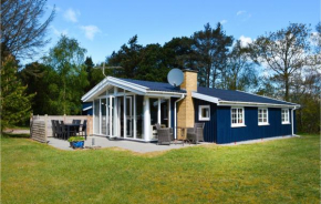 Pet Friendly Home In Ringkøbing With Wifi